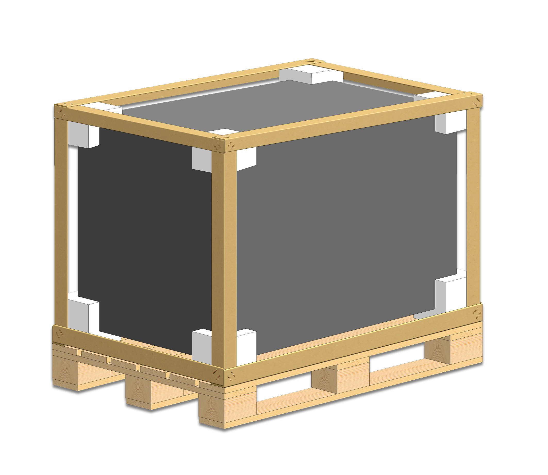 TPS Protective Frame