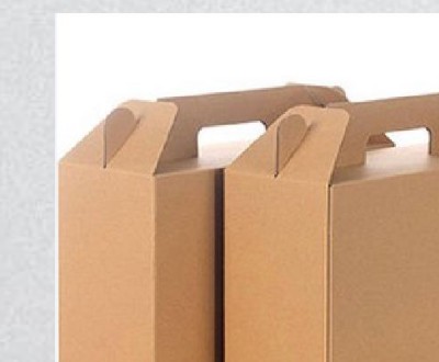 Kraft Retail Carrier Boxes with Handles