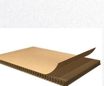 Honeycomb Core Peel-Back Sample